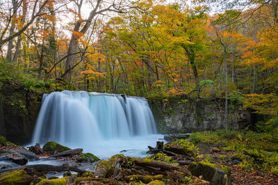 Scenic view of waterfall in forest