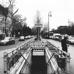 Bare trees against sky