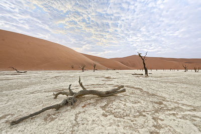 View of sand dunes in desert against sky