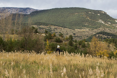 Rear view of man on field against mountains