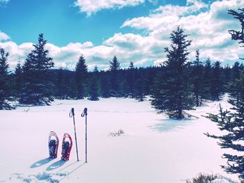 Snowshoes in snow. winter trail over hills and mountains. winter walks with forests and mountains