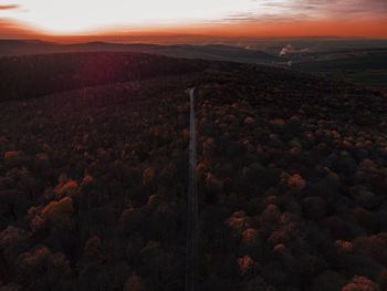 Aerial view over the forest at sunset, slightly more edited.