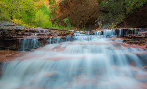 Scenic view of waterfall in forest