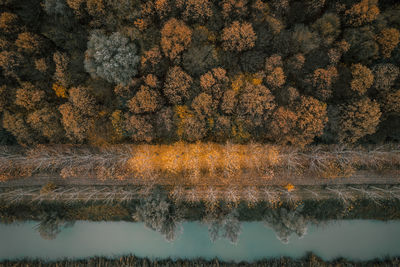 Scenic view of lake