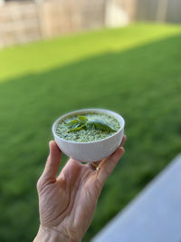 Hand holding a bowl of pesto