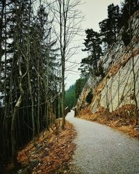 Road amidst trees against sky