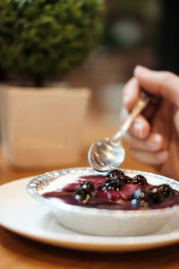 Close-up of hand holding ice cream in bowl