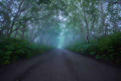 Road amidst trees in forest