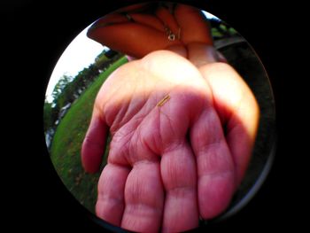 Close-up of hand holding leaf over black background