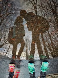 Person standing on tree trunk