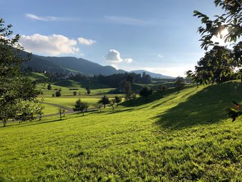 Scenic view of landscape against sky