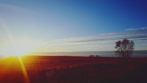 Scenic view of field against sky during sunset