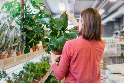 Rear view of woman standing at market stall buying plants