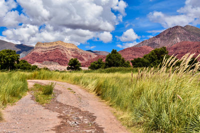 Landscape in salta and quebrada de humahuaca, argentina