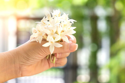 Close-up of hand holding flower against blurred background