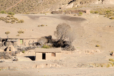 View of a desert