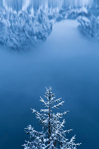 Winter in the alps