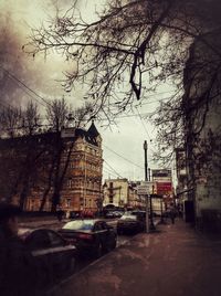 Bare trees against buildings