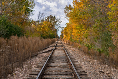 Railroad tracks amidst trees against sky