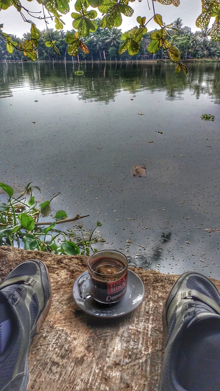 shoe, water, footwear, plant, nature, day, tree, low section, one person, human leg, outdoors, lifestyles, personal perspective, high angle view, lake, reflection, food and drink