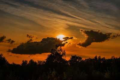 Low angle view of silhouette trees against orange sky