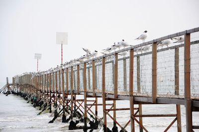 Birds perching on sea against sky