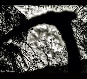 silhouette, sky, sunset, tranquility, cloud - sky, tree, nature, tranquil scene, beauty in nature, branch, low angle view, cloud, scenics, dusk, growth, bare tree, outline, cloudy, dark, outdoors