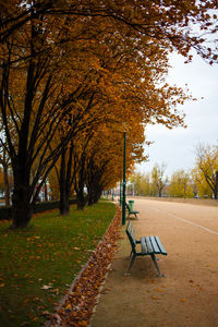 Empty bench in park during autumn