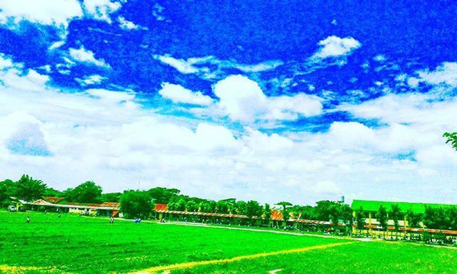 grass, sky, green color, landscape, field, cloud - sky, tranquility, tranquil scene, tree, beauty in nature, scenics, nature, grassy, cloud, fence, cloudy, growth, green, rural scene, blue