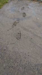 High angle view of footprints on sand