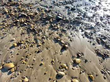 High angle view of pebbles on beach