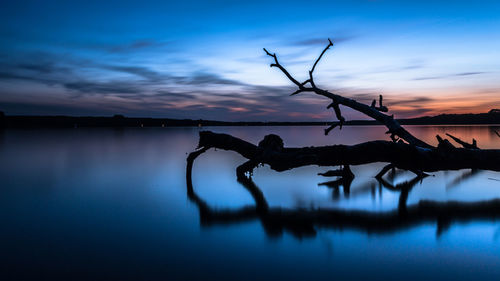 Silhouette of driftwood in lake against sky