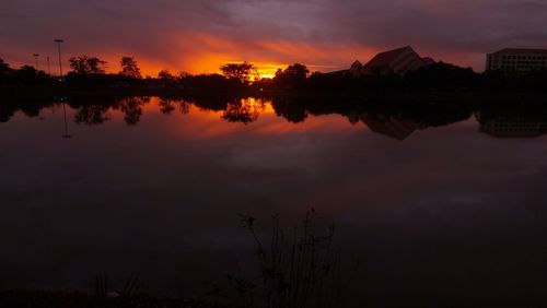 reflection