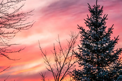 Low angle view of silhouette tree against sky during sunset