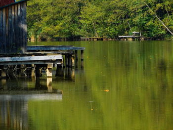 Reflection of trees in calm lake