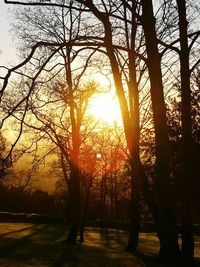 Silhouette trees against sky during sunset