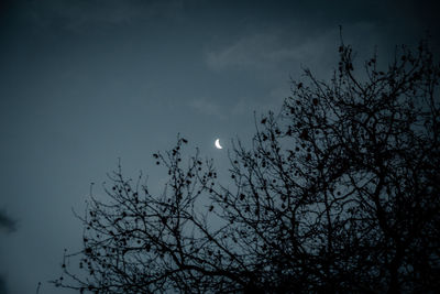 Low angle view of silhouette tree against sky at night