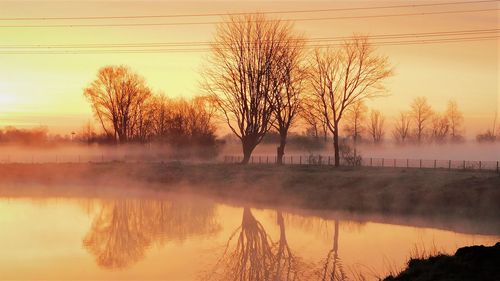 Bare trees by lake against sky during sunset