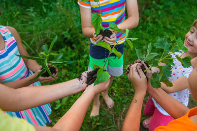 High angle view of girl playing with flowers