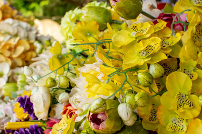 Close-up of yellow flowering plant for sale in market