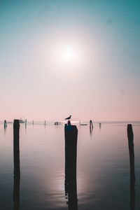 Silhouette wooden post in sea against sky during sunset