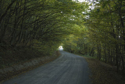 Empty road amidst trees in forest