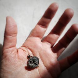 Close-up of hand holding insect