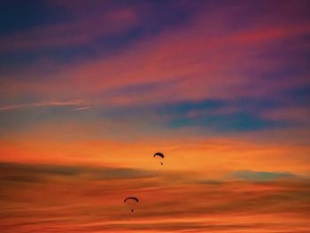 Low angle view of silhouette bird flying against orange sky