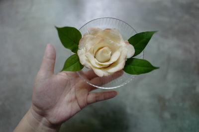 Close-up of hand holding rose bouquet