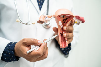 Midsection of doctor holding dentures