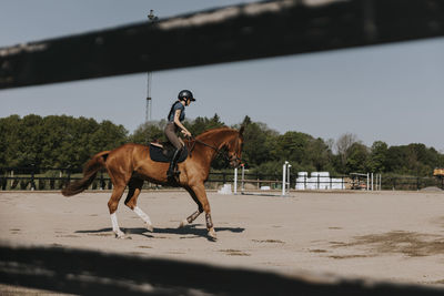 Woman horse riding on paddock at sunny day