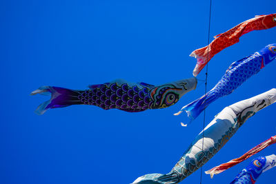 Low angle view of fish swimming in sea