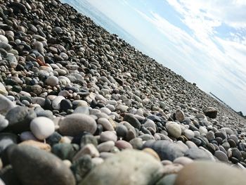 Surface level of pebbles on beach