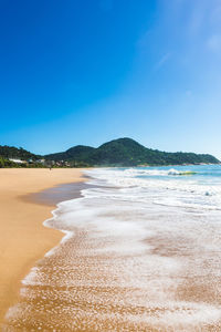 Scenic view of beach against blue sky